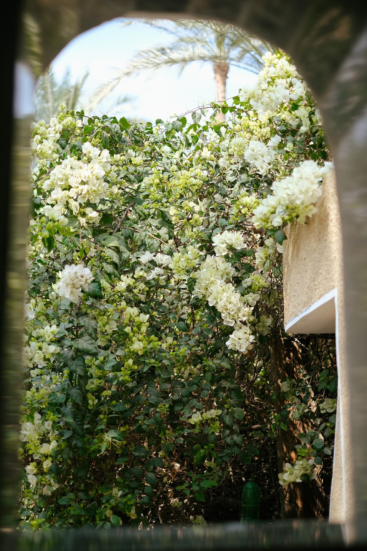 Marcy's transformational journey